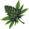 Bud